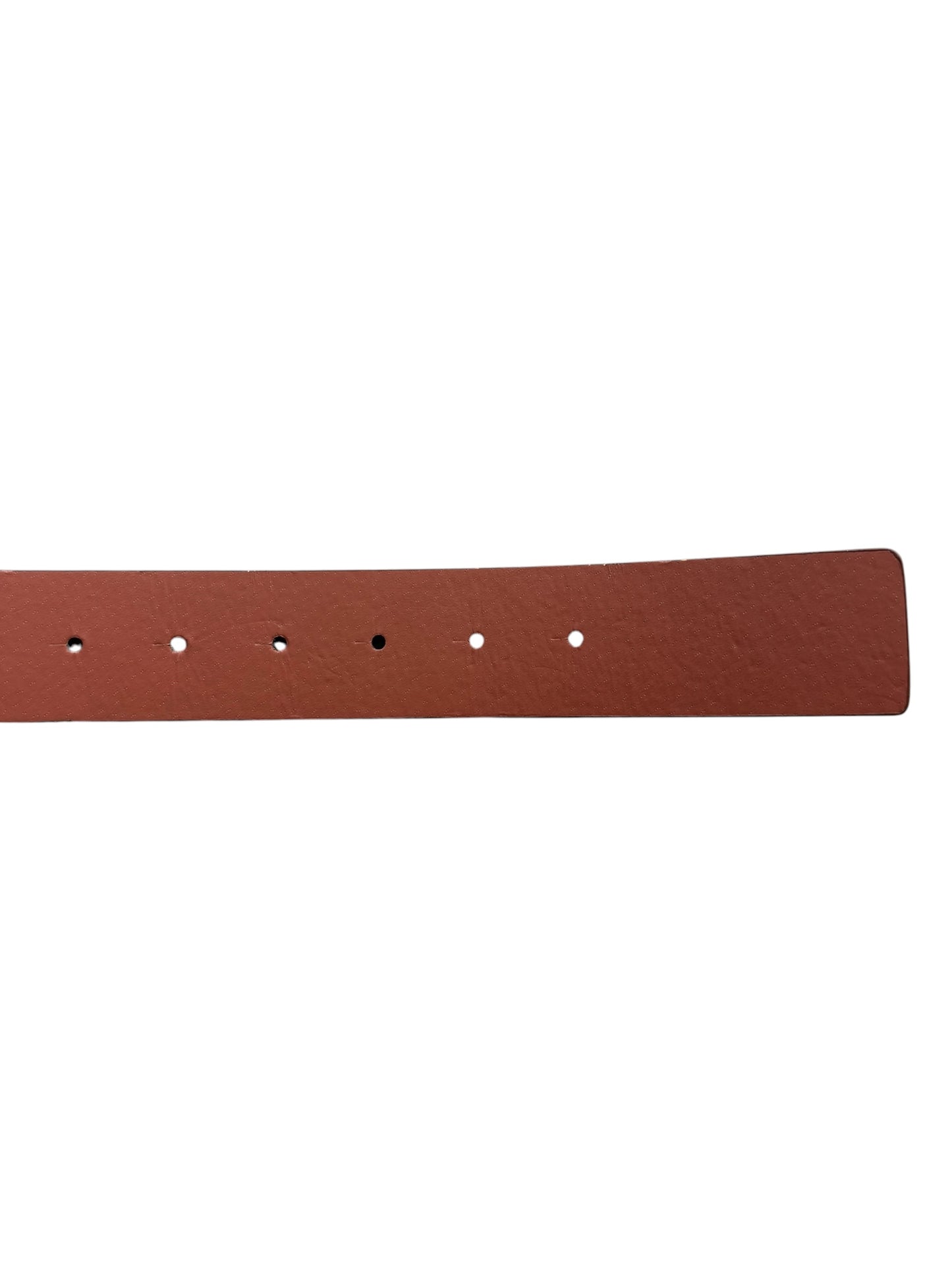 True Religion Belt
