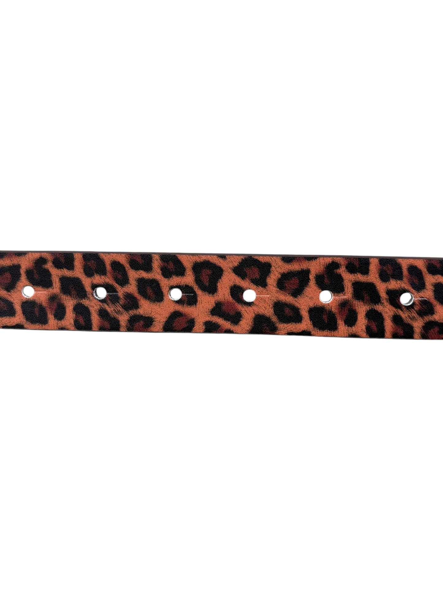 Cavalli Class Belt